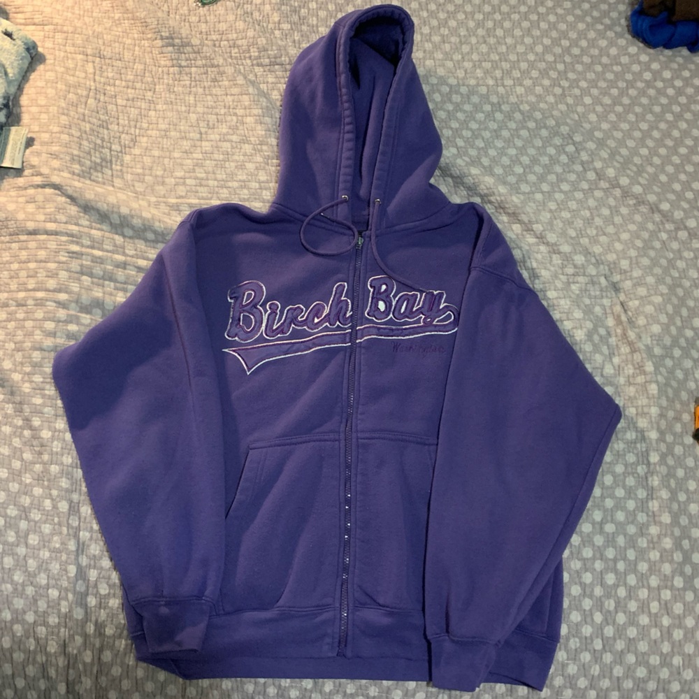 Y2K zipup hoodie